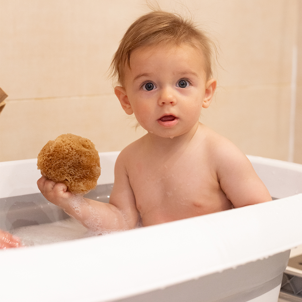 Zephyr® • Eponge naturelle de mer pour la toilette du bébé (5-8cm) - Eponge  de bain végétale et lavable : : Bébé et Puériculture