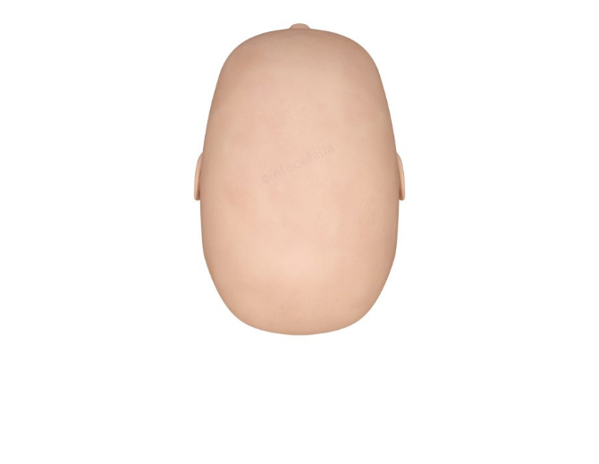 Scaphocephaly top Post.logo 600x600 1